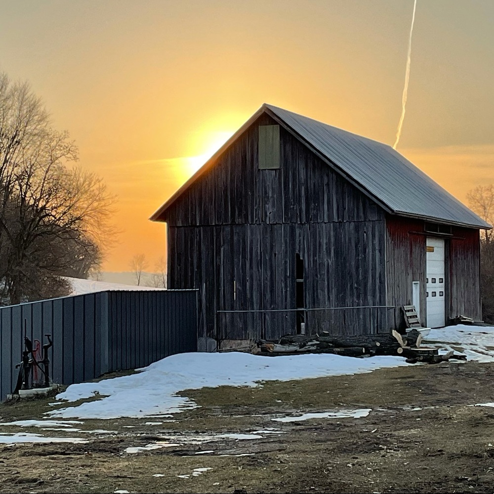 Meet your Posher, Hayley